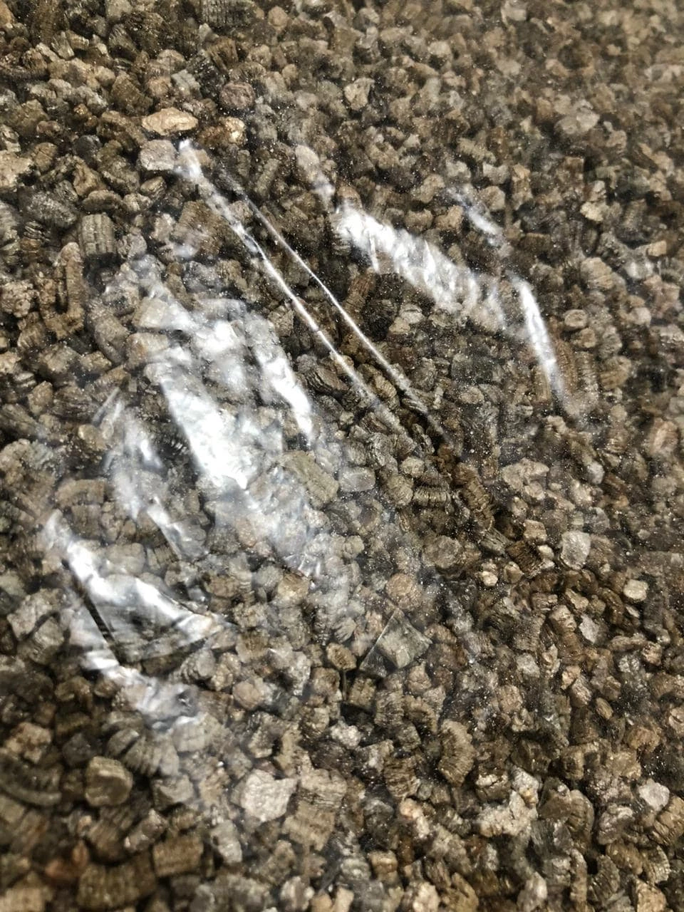 Vermiculita - 1L